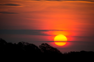 The sun glows as a yellow ball just above the tree line with a bright pink and orange sky at sunrise.