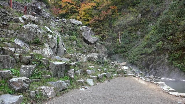 Japanese Macaque descends from the cliffs to the hot springs in the Jigokudani Monkey Park.  Yamanouchi, Nagano, Japan