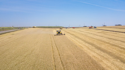 Fototapeta na wymiar Combine harvester working on a wheat field. Combine harvester aerial view.