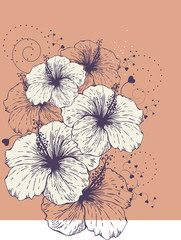 background with blooming hibiscus. Vector illustration - 274237857