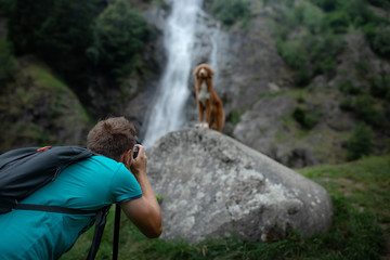 Obraz premium Nova Scotia Duck Tolling Retriever, Toller standing on a stone at the waterfall. dog near the water in nature. Pet Traveling