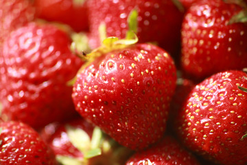 red, ripe, juicy, fragrant strawberry closeup