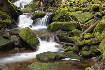 Schwarzwald Blackforest Ravennaschlucht