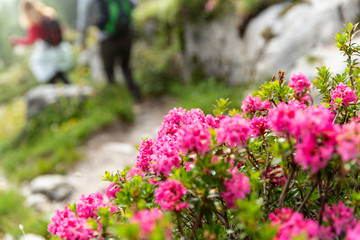 South-Tyrol Fanes Mountains unesco