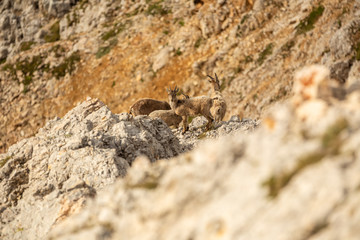 South-Tyrol Fanes Mountains unesco