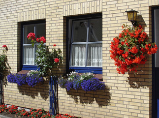 Fototapeta na wymiar Facade of the small brick house decorated with flowers. Historical fisherman's quarter Holm in Schleswig city, Schleswig-Holstein, North-West Germany