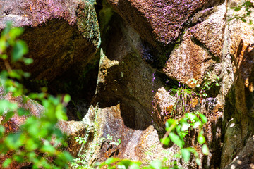 滝　観光　富士山　日本