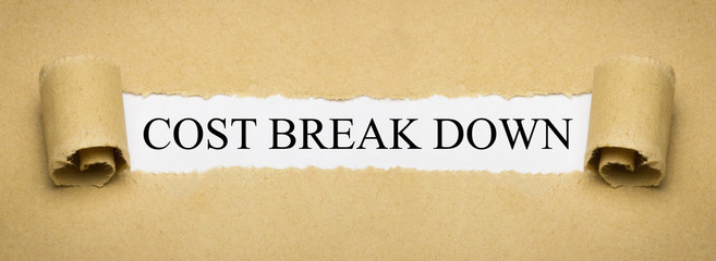 Cost Break Down