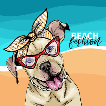 Vector portrait of pit bull terrier dog wearing sunglasses and retro bow. Summer fashion illustration. Vacation, sea, beach, ocean. Hand drawn pet portait. Poster, t-shirt print, holiday, postcard.