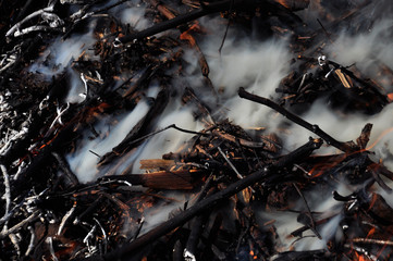 smoke from the fire. Extinguished bonfire. Small twigs in the smoke