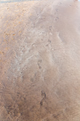 drawings and footprints in the sand