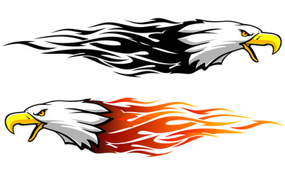 Bald Eagle Abstract Flame Variation
