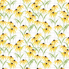 Black eyed susan flower seamless pattern vector.