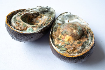 Spoiled bad avocado with mold cut in half - close-up 2
