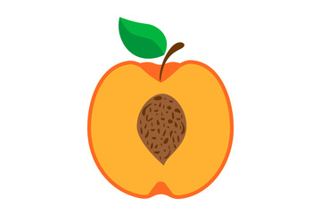orange peach in cut with bone on white background