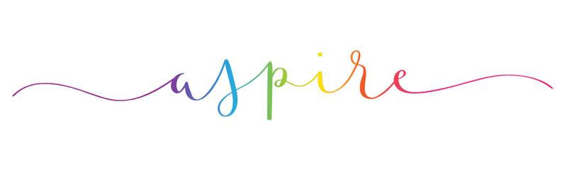 Fototapeta na wymiar ASPIRE rainbow brush calligraphy banner