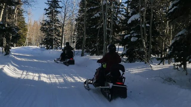 Slow Motion Tracking Clip As Parents Are Riding Snowmobile With Their Children. This video shows pine and aspen tree forest and people riding snowmachine..