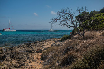 bord de mer en corse