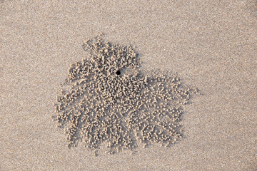 drawings and footprints in the sand