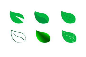 Set of Realistic Green Leaves Collection. Different leaves of tree or bush. Vector Illustration