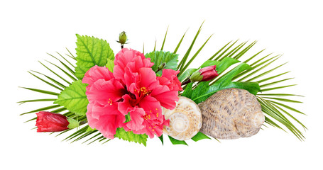 Seashells with palm leaves, hibiscus flower and buds in a holiday arrangement © Ortis