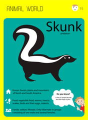 Skunk. Habitat, food, family. Educational cards for children, kindergartens and centers. vector illustration.