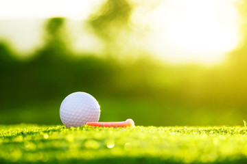 golf ball is on a green lawn in a beautiful golf course