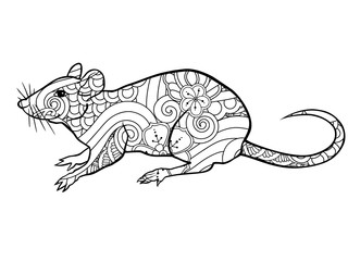 Coloring page with doodle style rat in zentangle inspired style. Coloring book for adult and older children.