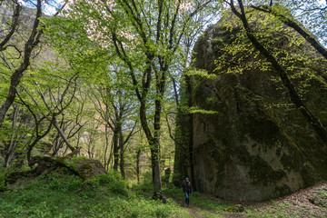 Fototapeta premium Tourist walks in the canyon of Birtvisi