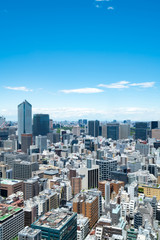 Fototapeta premium 東京風景