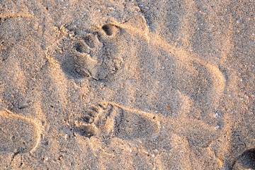 drawings and footprints in the sand