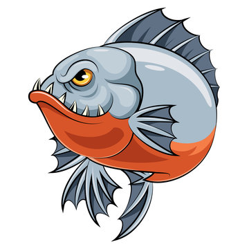 angry piranha fish