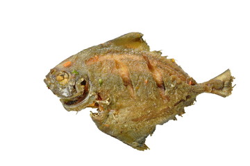 deep fried white pomfret fish on white background