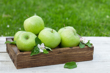 Fresh garden green apples in box