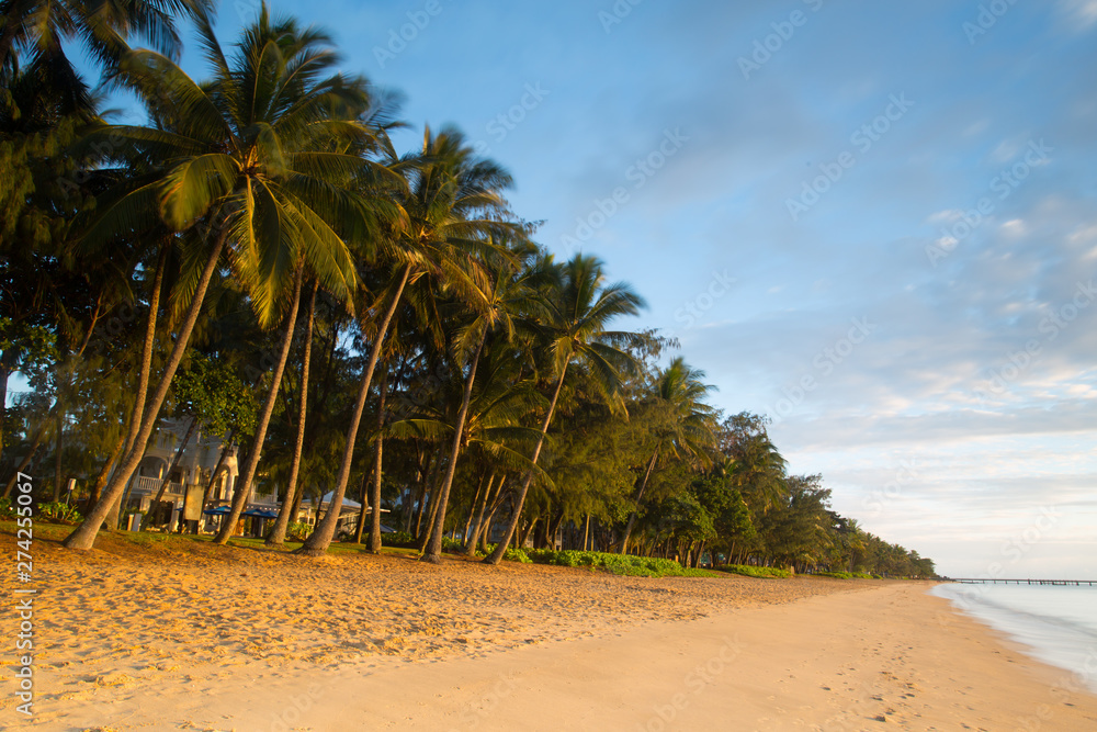 Wall mural Palm Cove Beachfront