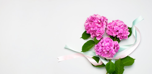 Beautiful flowers of pink hydrangea with with holiday ribbons on white background top view flat lay copy space. Flower card. Holiday, congratulations, happy mothers day. International Women's day.