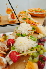 Gourmet appetizers. Appetizers table with italian antipasti snacks.