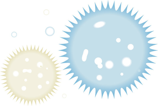 Cells