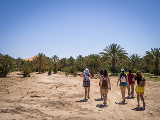 Tourists going to oasis desert in morocco