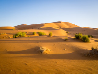 Sahara Desert, Erg Chebi dunes. Merzouga, Morocco
