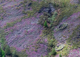 Ancient circular stone constructions to protect hives from  bears