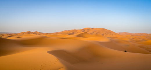 Sahara Desert, Erg Chebi dunes. Merzouga, Morocco