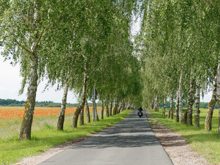 cruisen durch Mecklenburg-Vorpommern