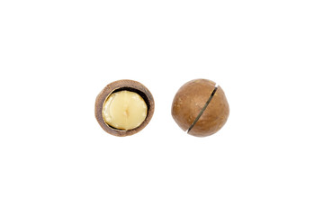 Macadamia nut isolated on white background.