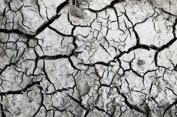 Dry and cracked ground. Desert background.