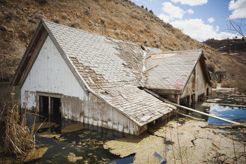 Flooded house in marshy bog