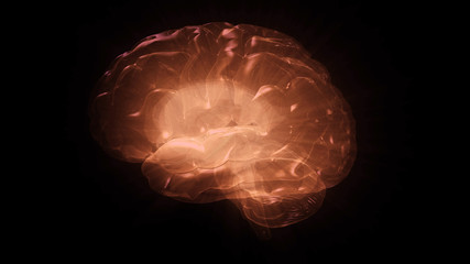 3D rendering of computer model of human brain and artificial intelligence concept