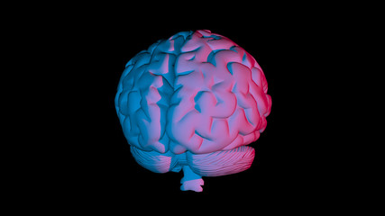 3D rendering of computer model of human brain and artificial intelligence concept