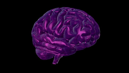 3D rendering of computer model of human brain and artificial intelligence concept