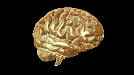3D rendering of computer model of human brain and artificial intelligence concept